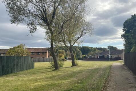 SURROUNDING AREA