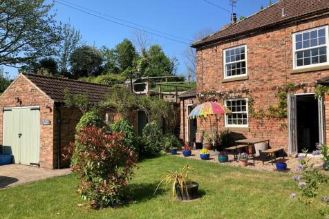 garden 4.jpg