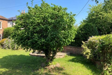 garden 6.jpg