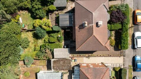 DJI_0626.jpg
