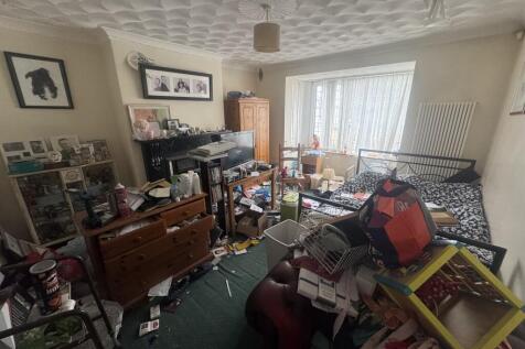 IMG 7525 T202503261635.jpeg