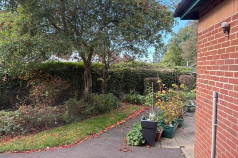 Side T202509281454.jpg