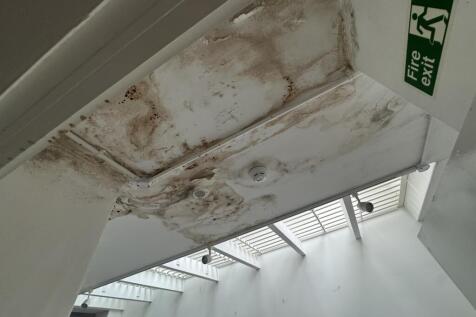 IMG 2138 T202509251406.jpeg