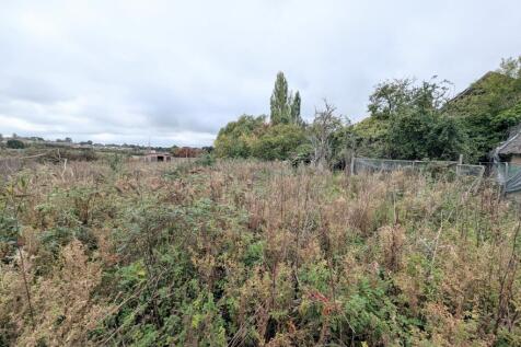 1000033286 T202510090957.jpg