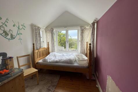 IMG 4416 T202508131653.jpg