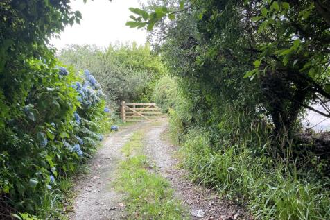 IMG 4432 T202508131654.jpg