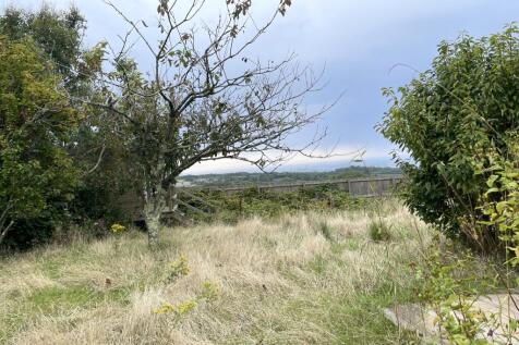 IMG 4342 T202510221546.jpg