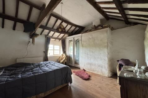 IMG 1786 T202509101640.jpeg