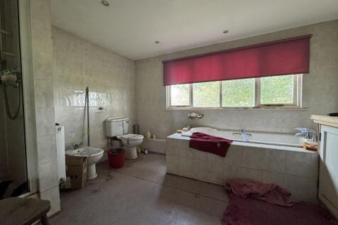 IMG 1778 T202509101640.jpeg