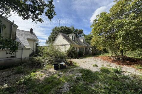 IMG 1860 T202509101641.jpeg