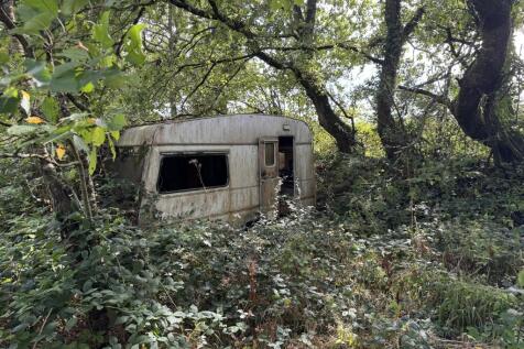 IMG 1870 T202509101641.jpeg