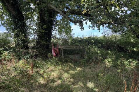 IMG 1873 T202509101641.jpeg