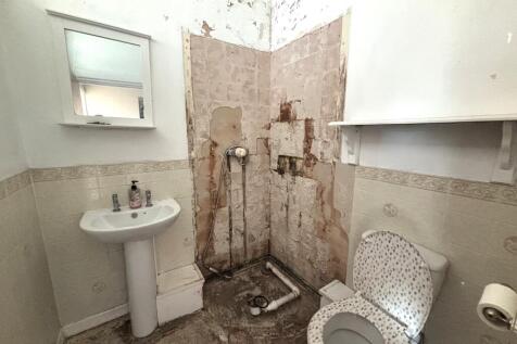 IMG 2150 T202510221606.jpeg