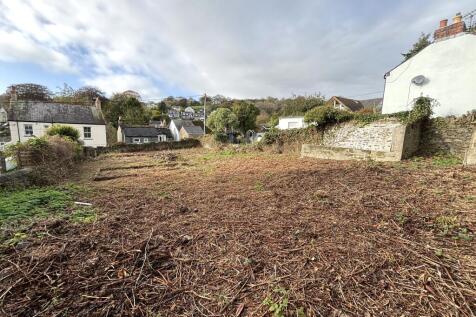 IMG 2198 T202510281710.jpeg