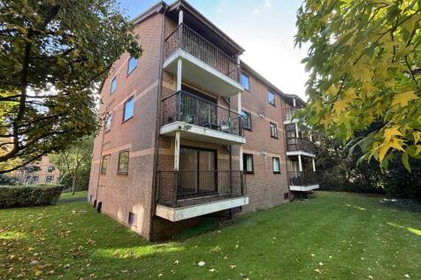 IMG 7724 T202510301215.jpg