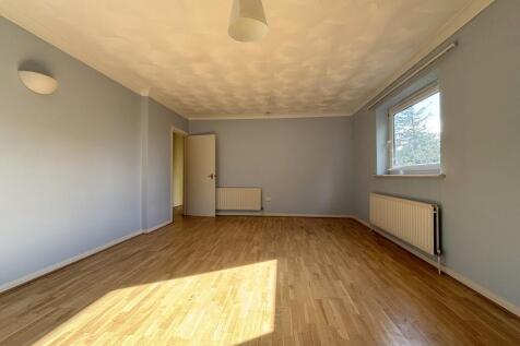 IMG 7729 T202510301215.jpg