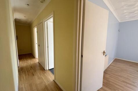 IMG 7753 T202510301215.jpg