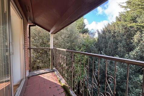 IMG 7731 T202510301215.jpg