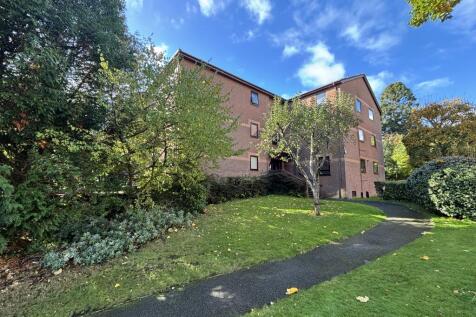 IMG 7721 T202510301215.jpg