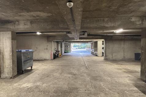 IMG 7761 T202510301215.jpg