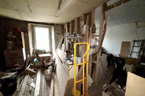 IMG 2256 T202510301358.jpeg