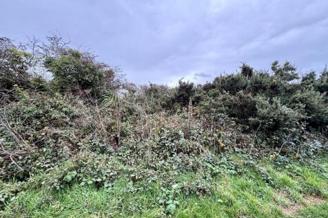 IMG 2296 T202510301126.jpeg