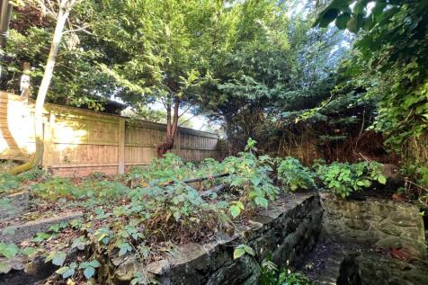 20251029 153549651 IOS T202511031247.jpg