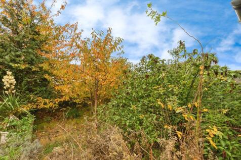 89a7356-2 T202511061831.jpg