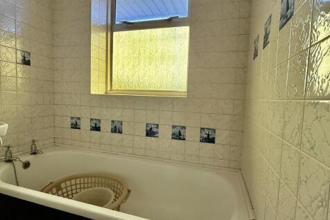 IMG 5867 T202511071404.jpg