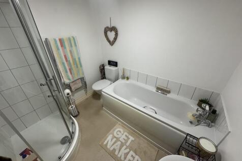 IMG 2661 T202511111022.jpg