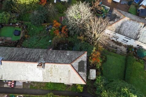 IMG 2974 T202511111044.jpg