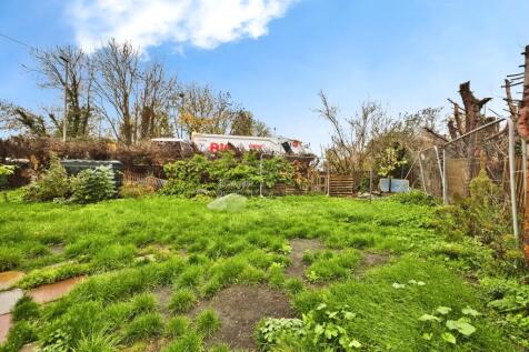 Img 4475 T202511130643.jpg