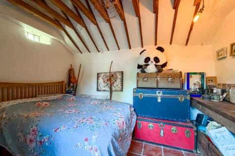 IMG 1956 T202512101737.jpg