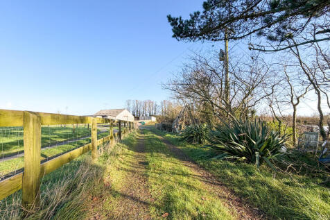 IMG 1920 T202512101740.jpg