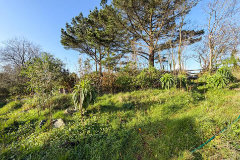 IMG 1922 T202512101741.jpg