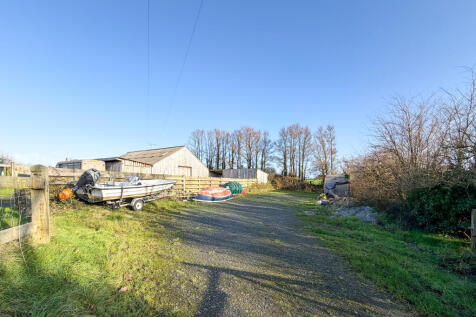 IMG 1918 T202512101741.jpg