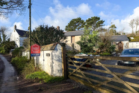 IMG 1963 T202512101738.jpg