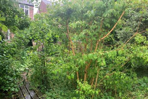 Property Image 46