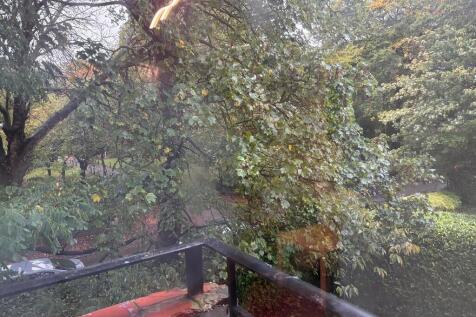IMG-20251003-WA00...