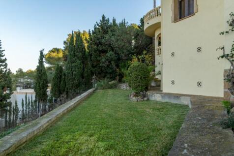 Property Image 41