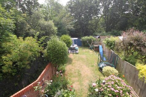 Garden 1.JPG
