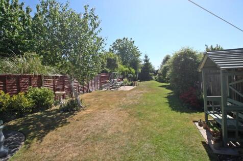 Garden 3.JPG