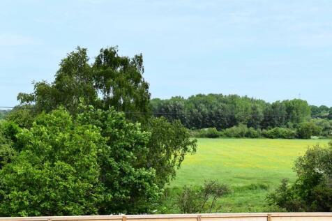wimborne country park view (Copy)