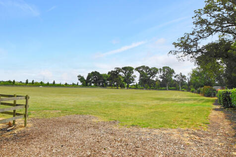 Dog walking Area