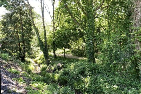 Nature Walk