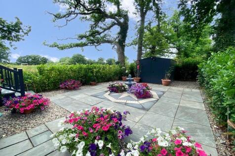 Patio Garden