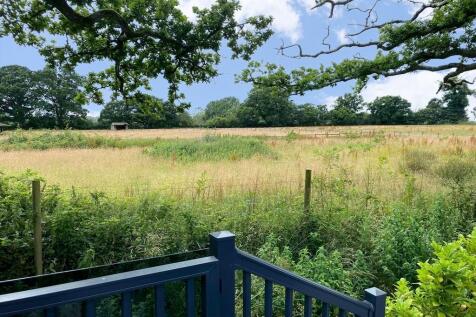 Field View