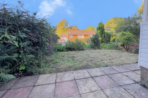 Untitled design (60).jpg