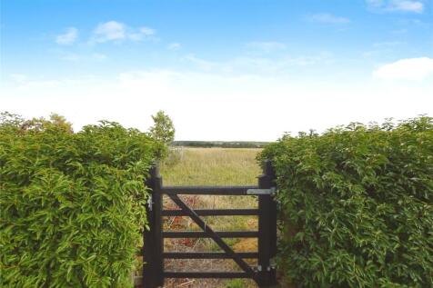 Open Fields