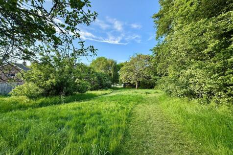 Nearby Meadows